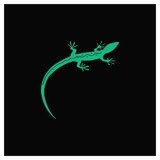 Lizard